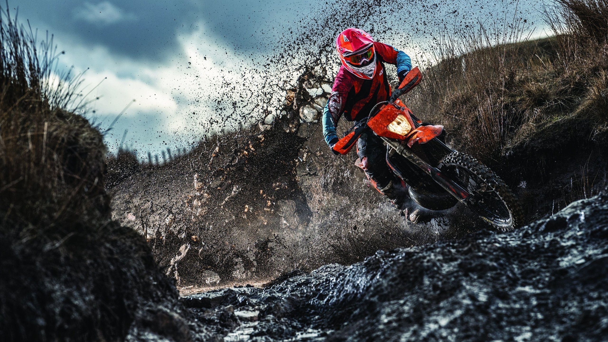 影响深远：联盟最绿色的环保行动持续落地，环保绿色事件有哪些