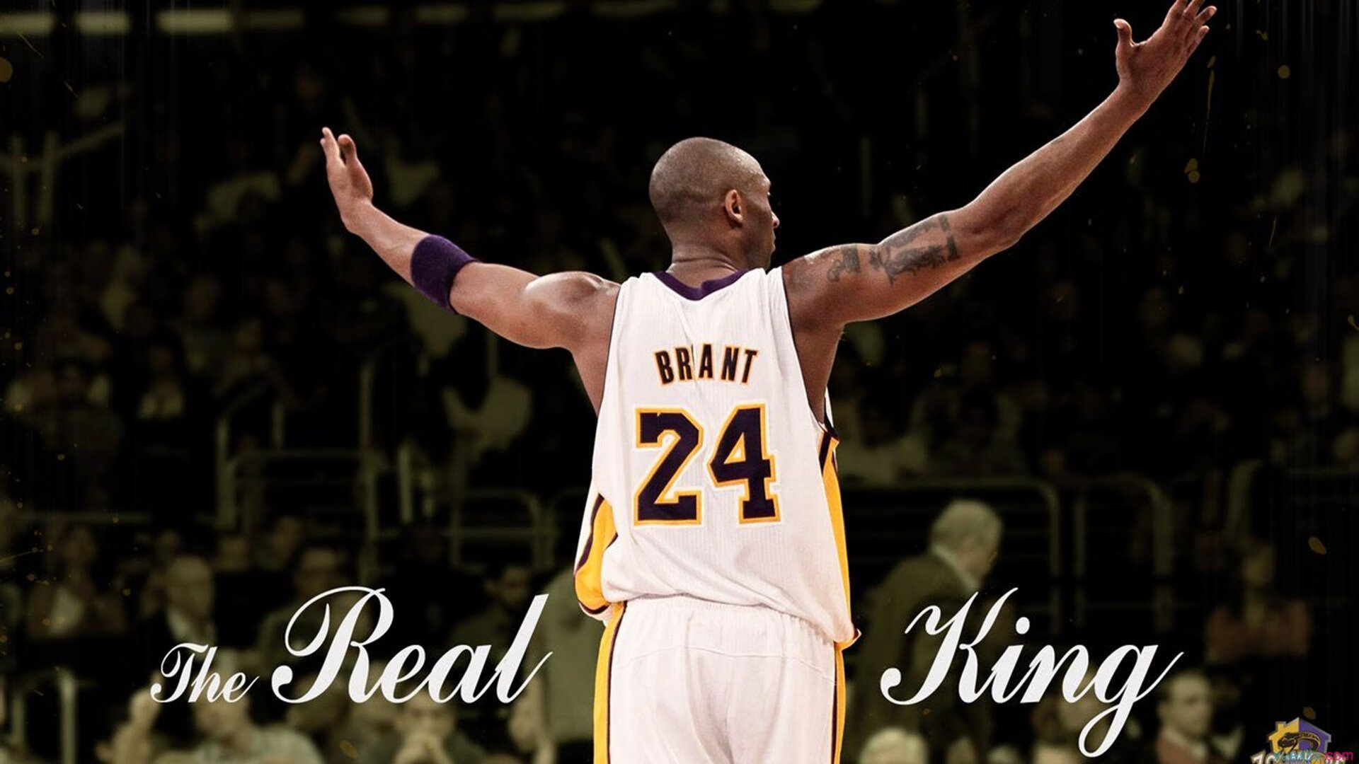 青少年电竞大赛落幕,15岁少年夺冠震惊全场,全国青少年电竞挑战赛